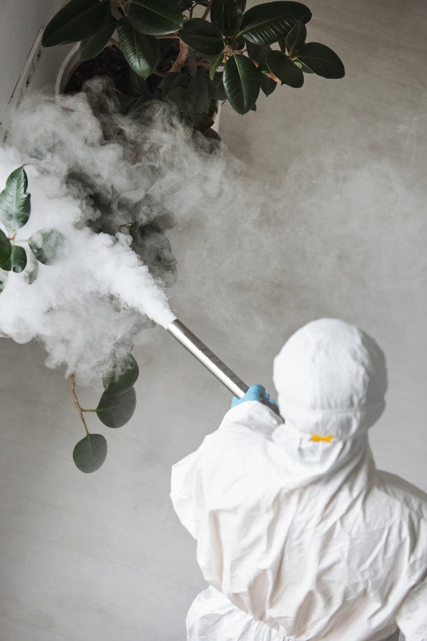 PESTMAX Biohazard Specialist Cleaning - Swift and Discreet Undiscovered Death and Suicide Scene Remediation