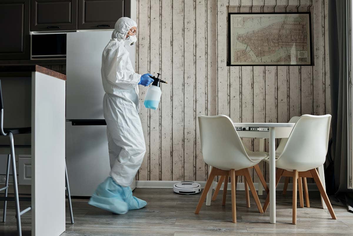 Pestmax Pest control services in worcestershire, redditch and birmingham
