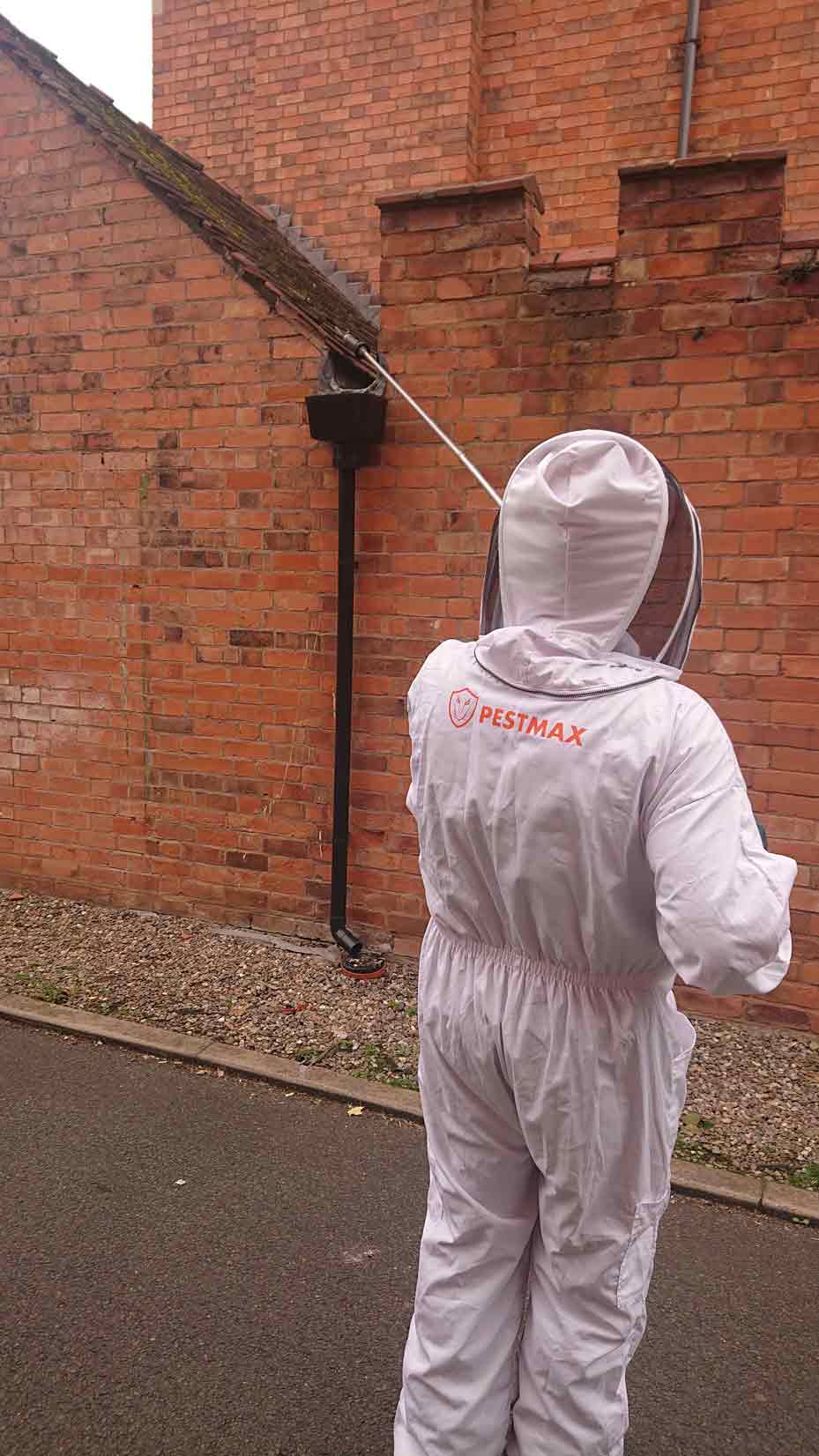 Expert Pest Controller from Pestmax pest controlling a wasps nest